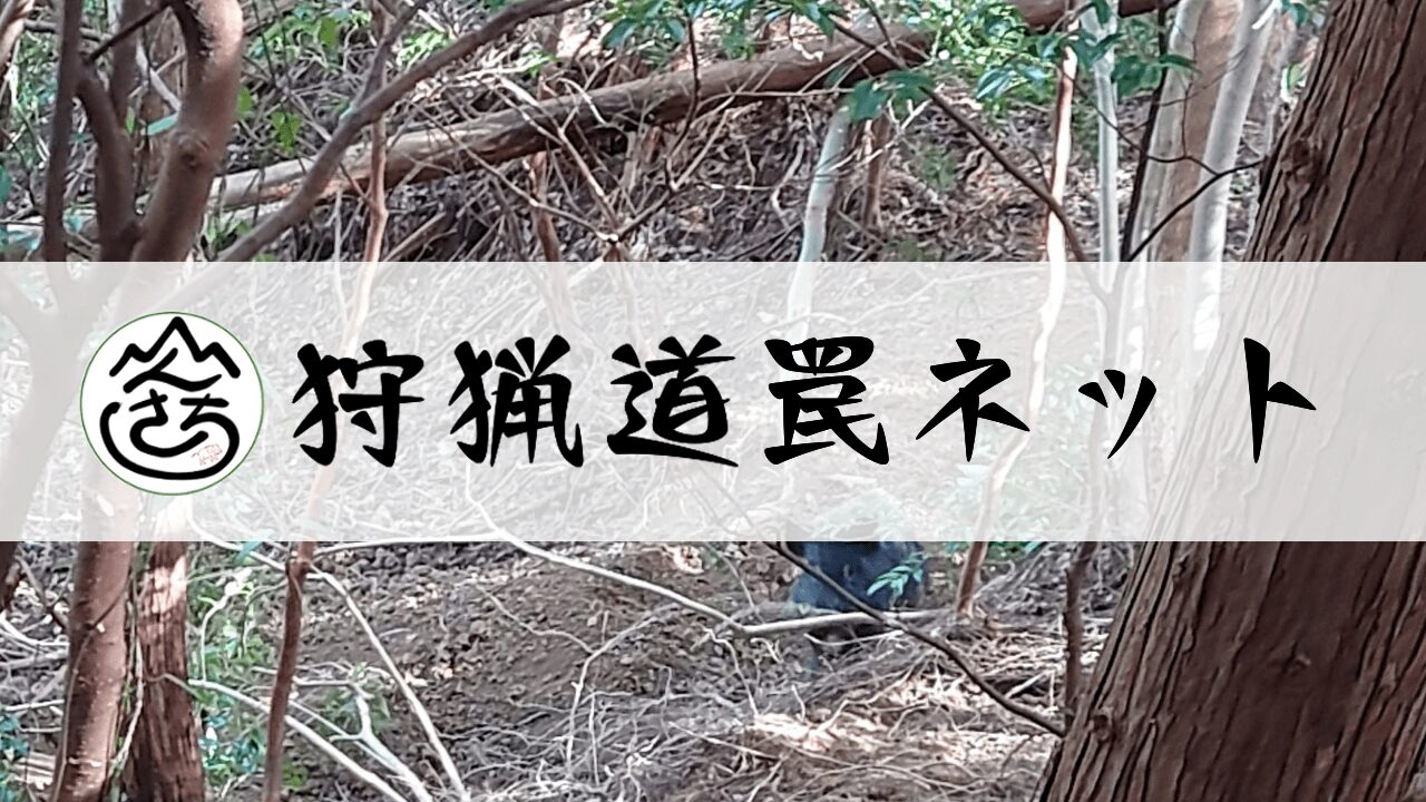 狩猟道罠ネットワーク